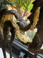 Majestic Prancing Horse Sculpture