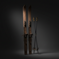 Pair of Skis and Sticks